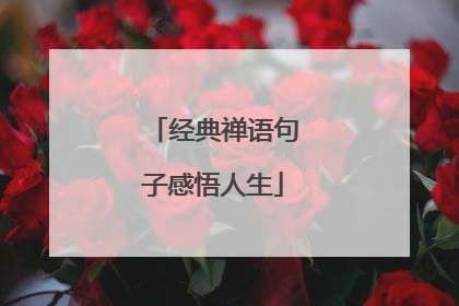 经典禅语句子感悟人生