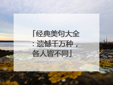 经典美句大全：遗憾千万种，各人皆不同