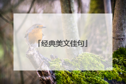 经典美文佳句