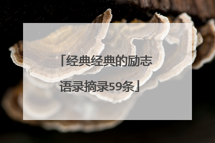 经典经典的励志语录摘录59条