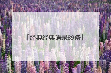 经典经典语录89条