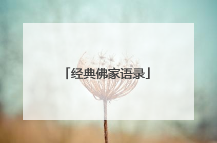 经典佛家语录
