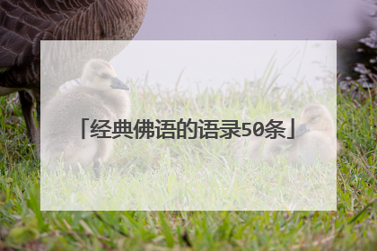 经典佛语的语录50条