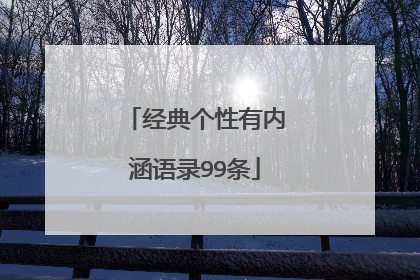 经典个性有内涵语录99条