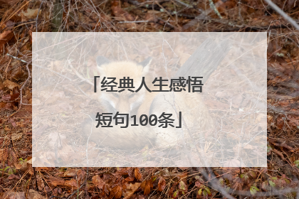 经典人生感悟短句100条