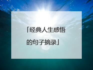 经典人生感悟的句子摘录
