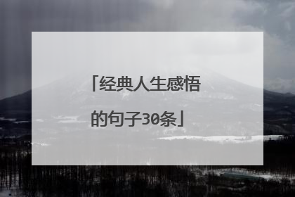 经典人生感悟的句子30条