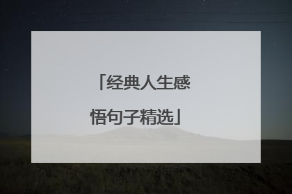 经典人生感悟句子精选