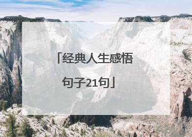 经典人生感悟句子21句