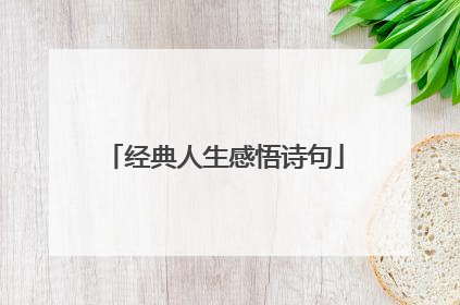 经典人生感悟诗句