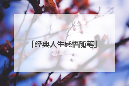 经典人生感悟随笔