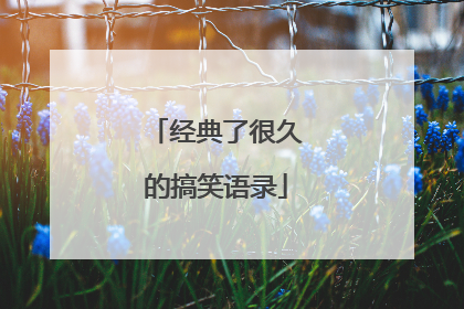 经典了很久的搞笑语录