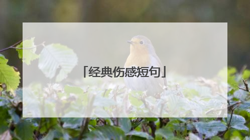 经典伤感短句