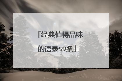 经典值得品味的语录59条