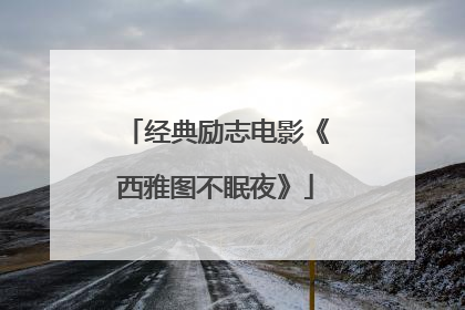 经典励志电影《西雅图不眠夜》
