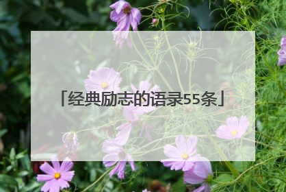 经典励志的语录55条