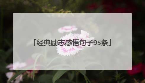 经典励志感悟句子95条