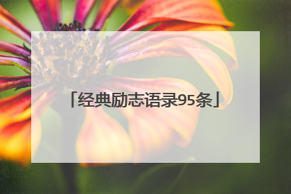 经典励志语录95条