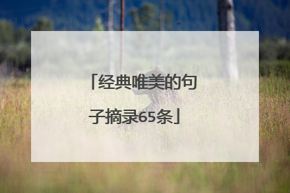 经典唯美的句子摘录65条