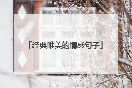 经典唯美的情感句子