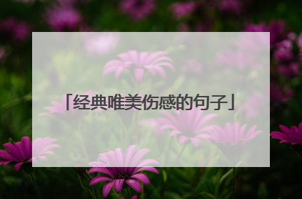 经典唯美伤感的句子