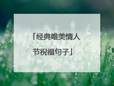 经典唯美情人节祝福句子