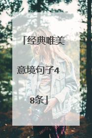 经典唯美意境句子48条