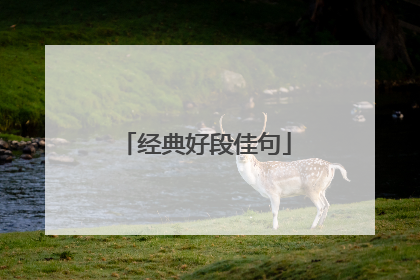 经典好段佳句