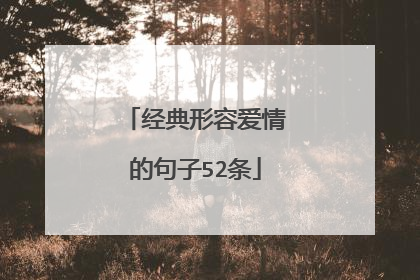 经典形容爱情的句子52条