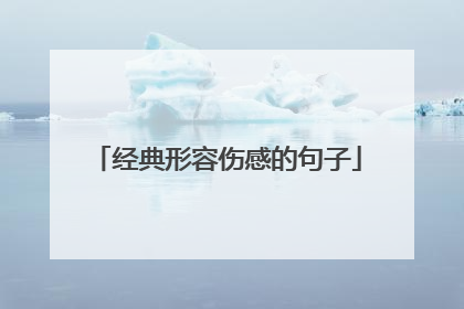 经典形容伤感的句子
