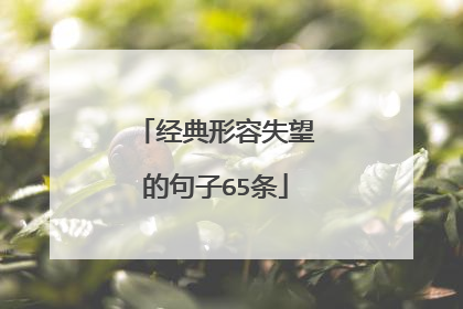 经典形容失望的句子65条