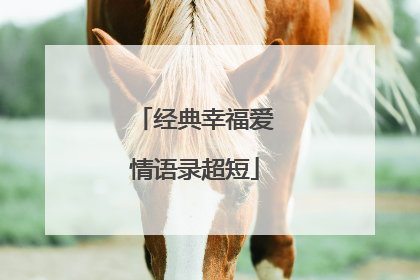 经典幸福爱情语录超短