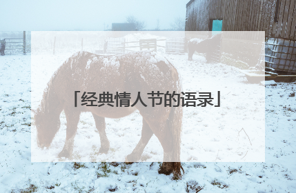 经典情人节的语录