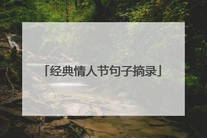 经典情人节句子摘录