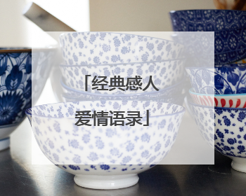 经典感人爱情语录