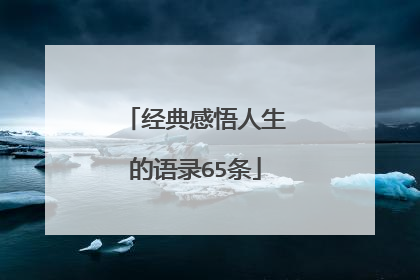 经典感悟人生的语录65条