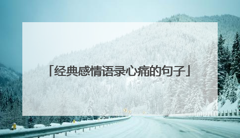 经典感情语录心痛的句子