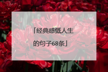 经典感慨人生的句子68条