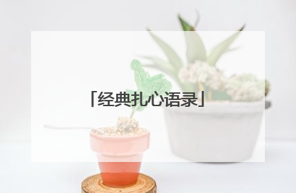 经典扎心语录