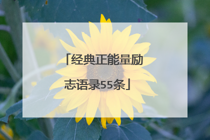 经典正能量励志语录55条