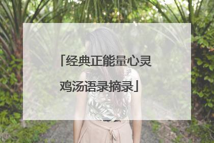 经典正能量心灵鸡汤语录摘录