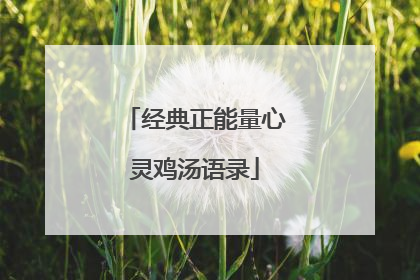 经典正能量心灵鸡汤语录