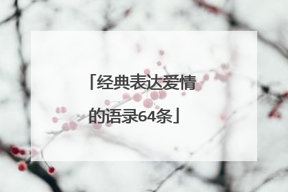经典表达爱情的语录64条