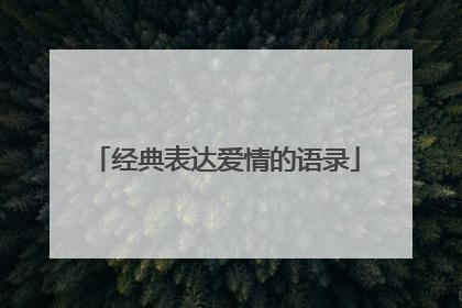 经典表达爱情的语录
