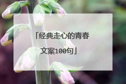 经典走心的青春文案100句