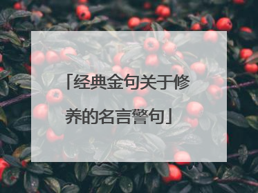 经典金句关于修养的名言警句