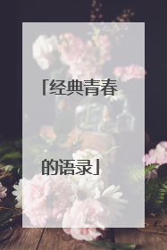 经典青春的语录