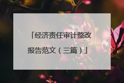 经济责任审计整改报告范文(三篇)