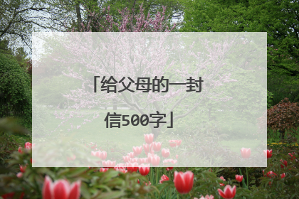 给父母的一封信500字