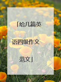 给几篇英语四级作文范文